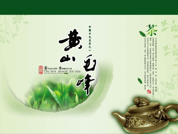 黃毛峰茶