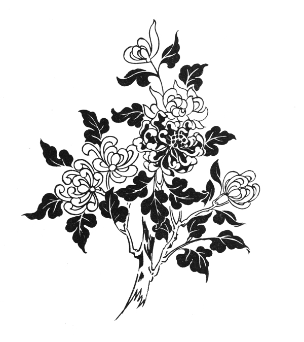 菊花吉祥圖案052
