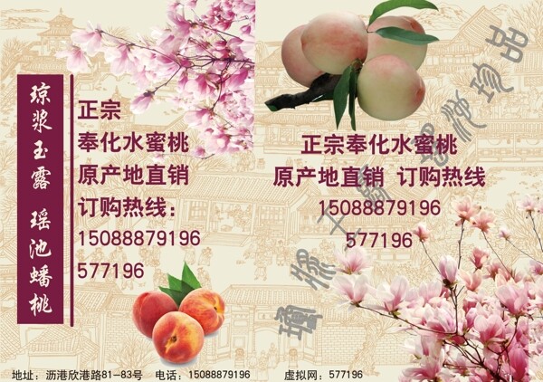 奉化水蜜桃圖片