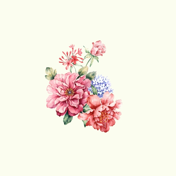 位圖psd植物花朵免費素材