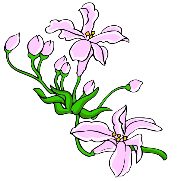 花卉古典插畫