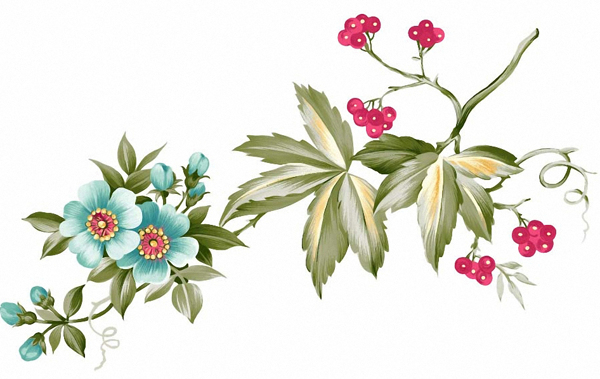 位圖時尚休閑女裝成熟優(yōu)雅女裝植物優(yōu)雅植物免費素材