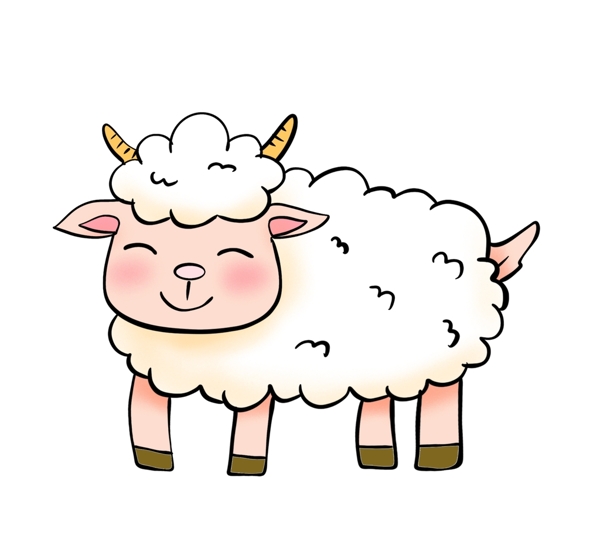 手绘绵羊插画图片