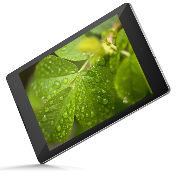 Nexus9平板樣機(jī)