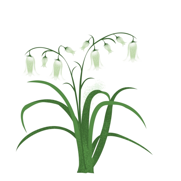 春天元素白色花朵花枝花卉绿叶手绘简约风1