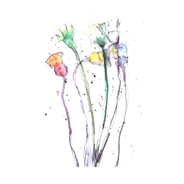 位圖植物寫意花卉花朵免費素材