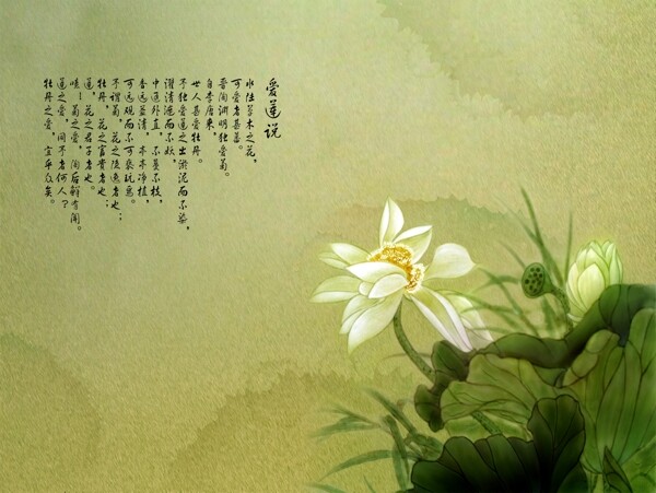 婚紗攝影模板