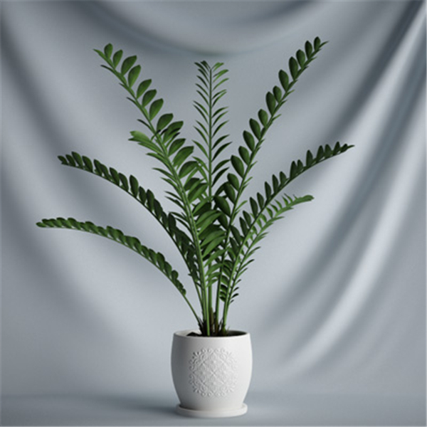 植物素材3D模型素材