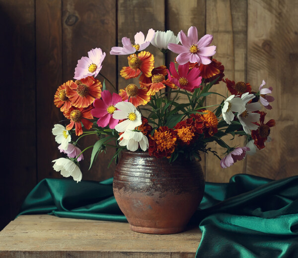 花钵里的可爱花朵图片