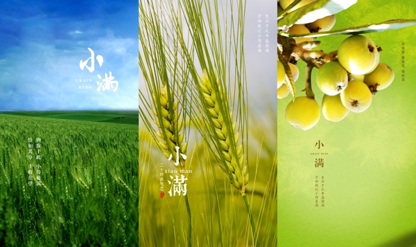 小滿
