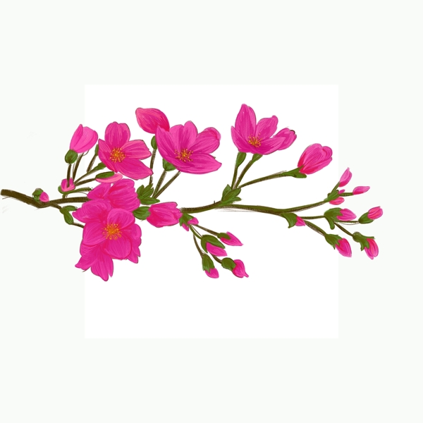 手繪花粉色清新桃花