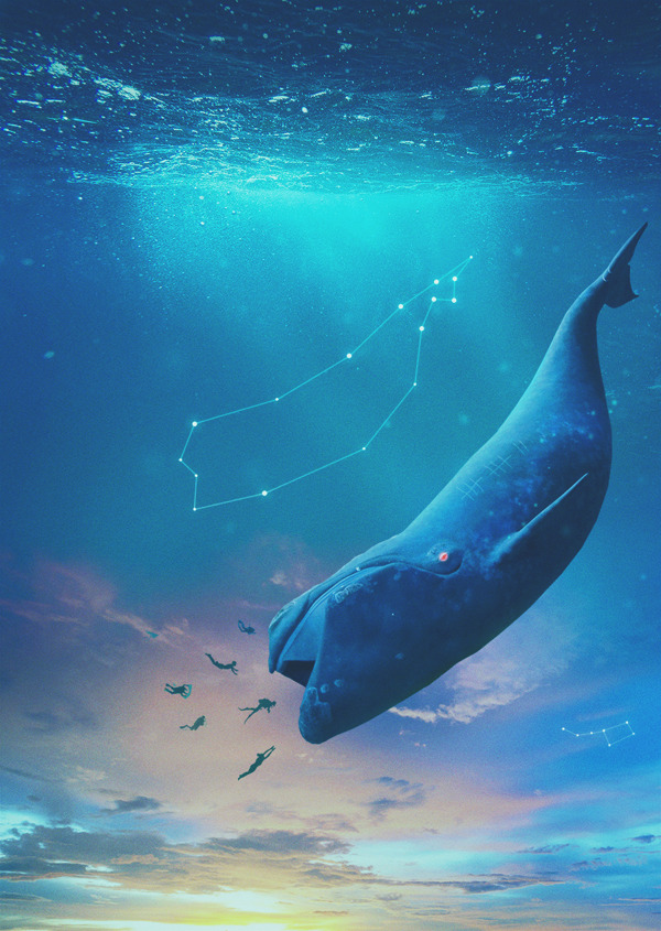 蓝鲸海洋