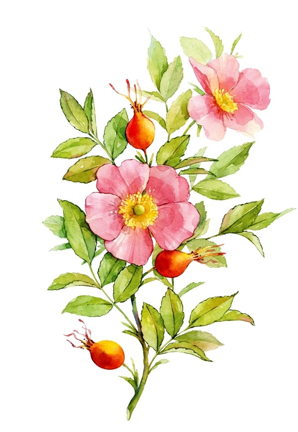 手繪花