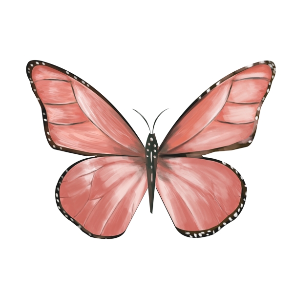 红色的蝴蝶装饰插画