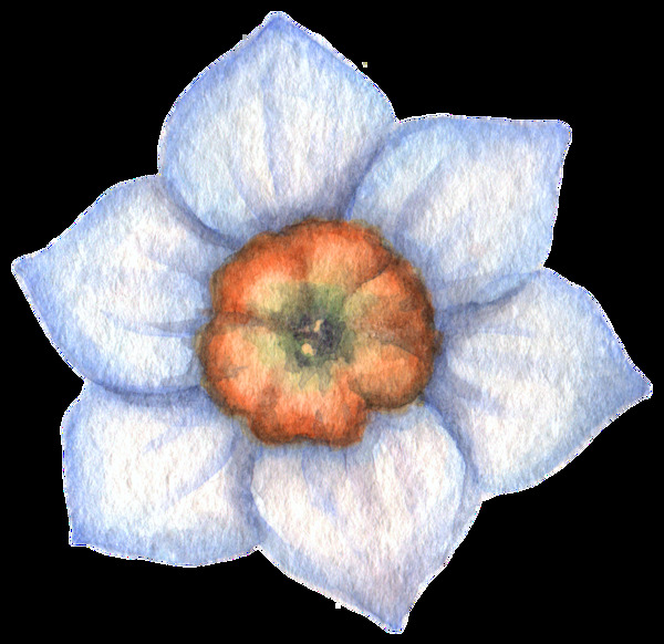 黃藍花葉透明裝飾素材