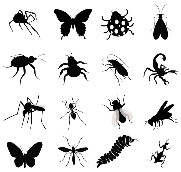 昆虫剪影图标矢量图