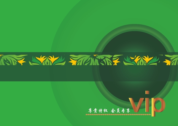 vip卡