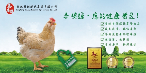 雞蛋banner