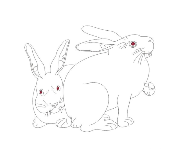 兔子手绘图