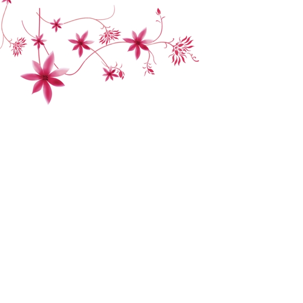 紅色花朵