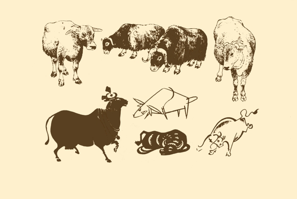 動物圖案牛圖片