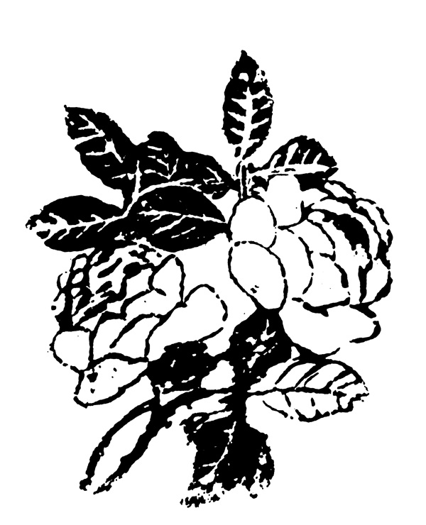 清代花鳥圖案中國(guó)傳統(tǒng)圖案0072