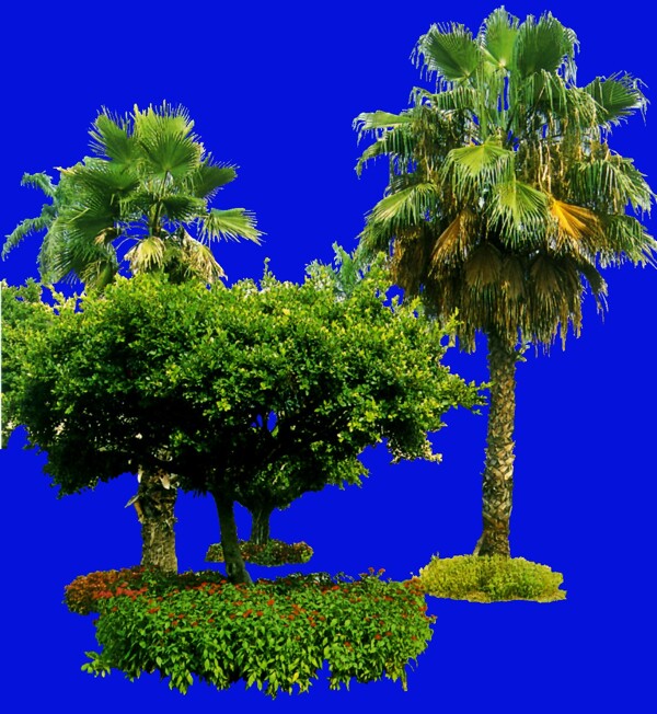 植物貼圖素材JPG0645