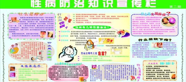 性病健康宣傳欄圖片