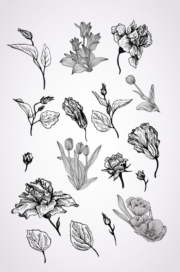 黑白花卉花朵
