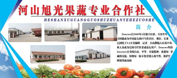 蔬菜公司展板圖片