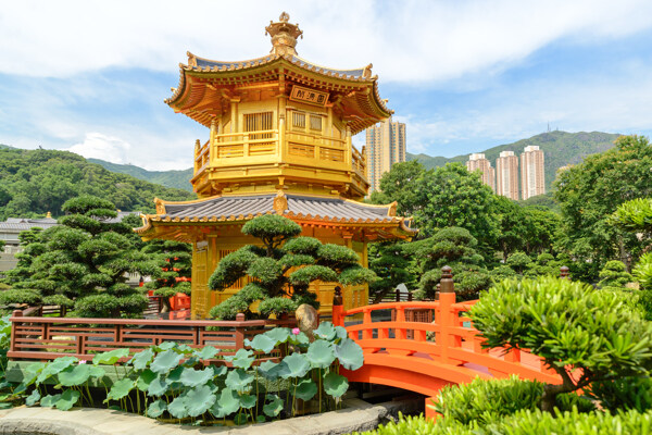 香港南莲园池风景图片