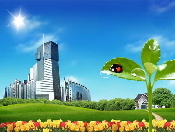 现代城市建筑风光