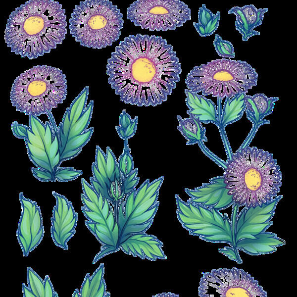 清新蓝色边手绘菊花装饰元素