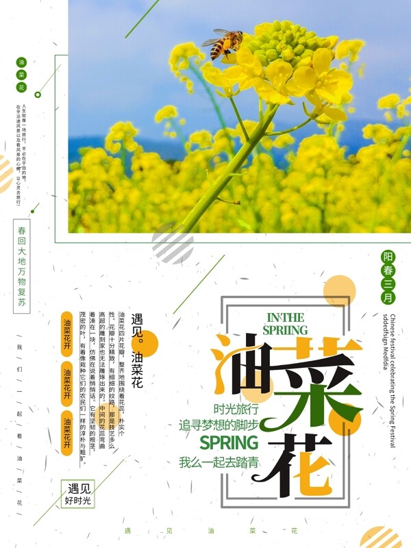 油菜花海報