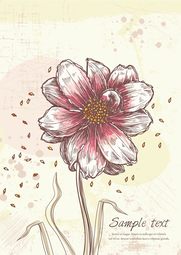 五顏六色的花卉背景矢量