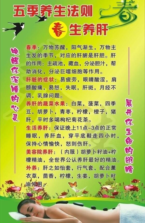 春生養(yǎng)肝圖片