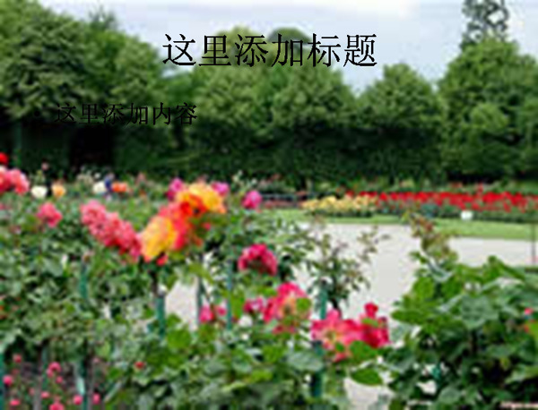 維也納