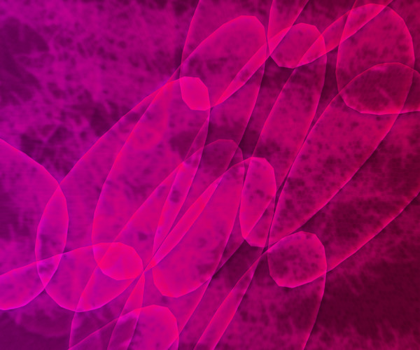 粉红色的细胞结构