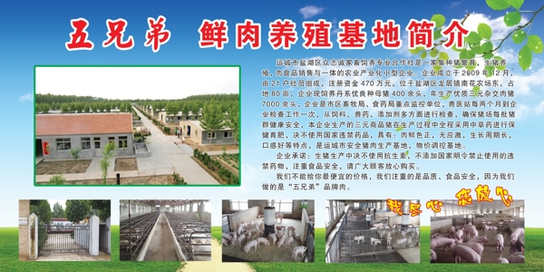 豬場(chǎng)圖片