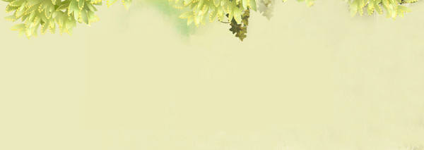 清新