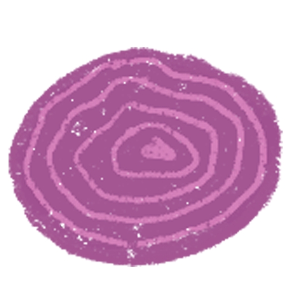 圆形的紫色洋葱