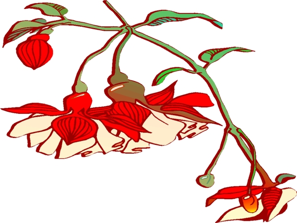 花兒圖片