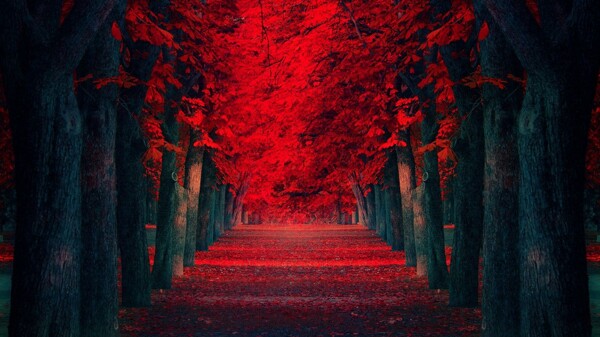 红色树林