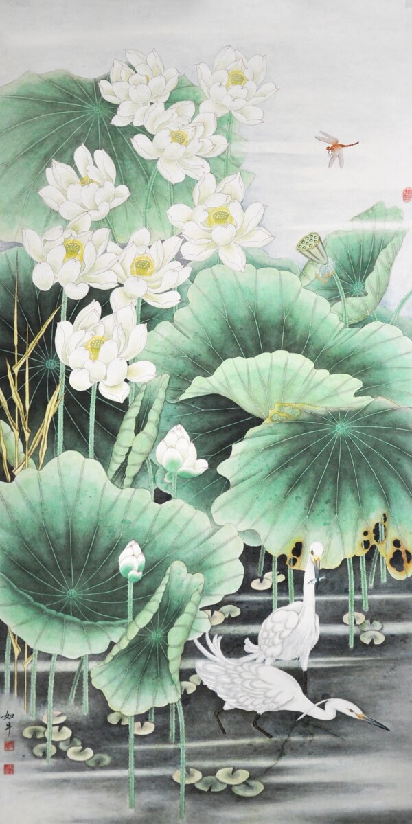荷花圖片