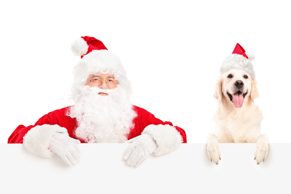 圣诞老人与小狗图片