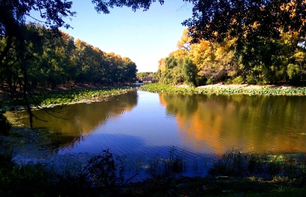 公園湖水
