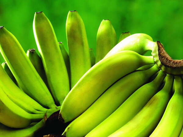 海南青香蕉图片