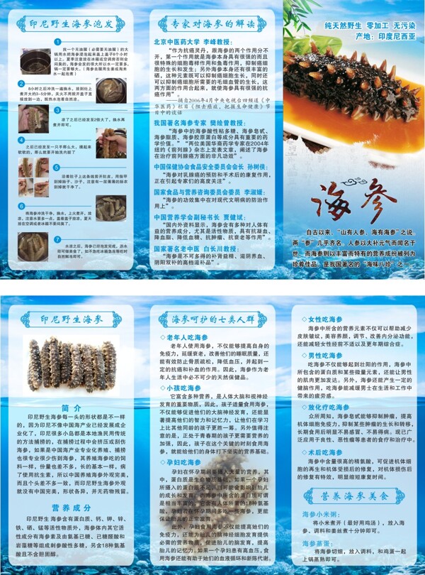 海參三折宣傳單