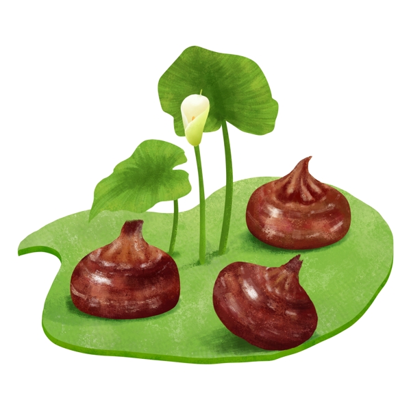 處暑馬蹄手繪插畫