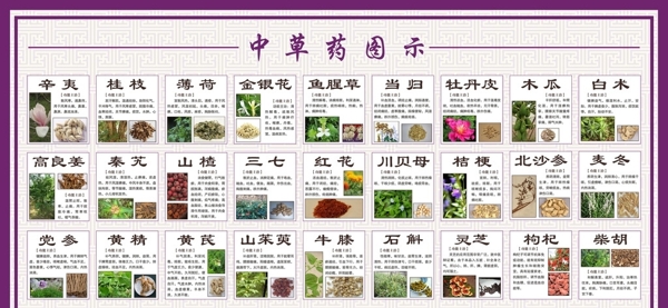 草药图示图片
